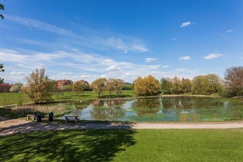 Nærområde - Hovindammen